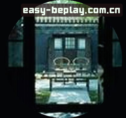 李总